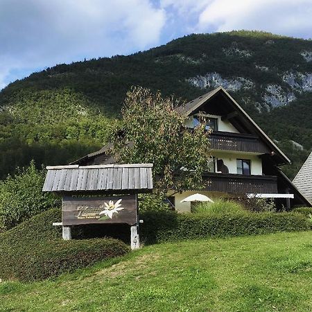 Charming And Cozy Apartment Sara Bohinj Exterior foto